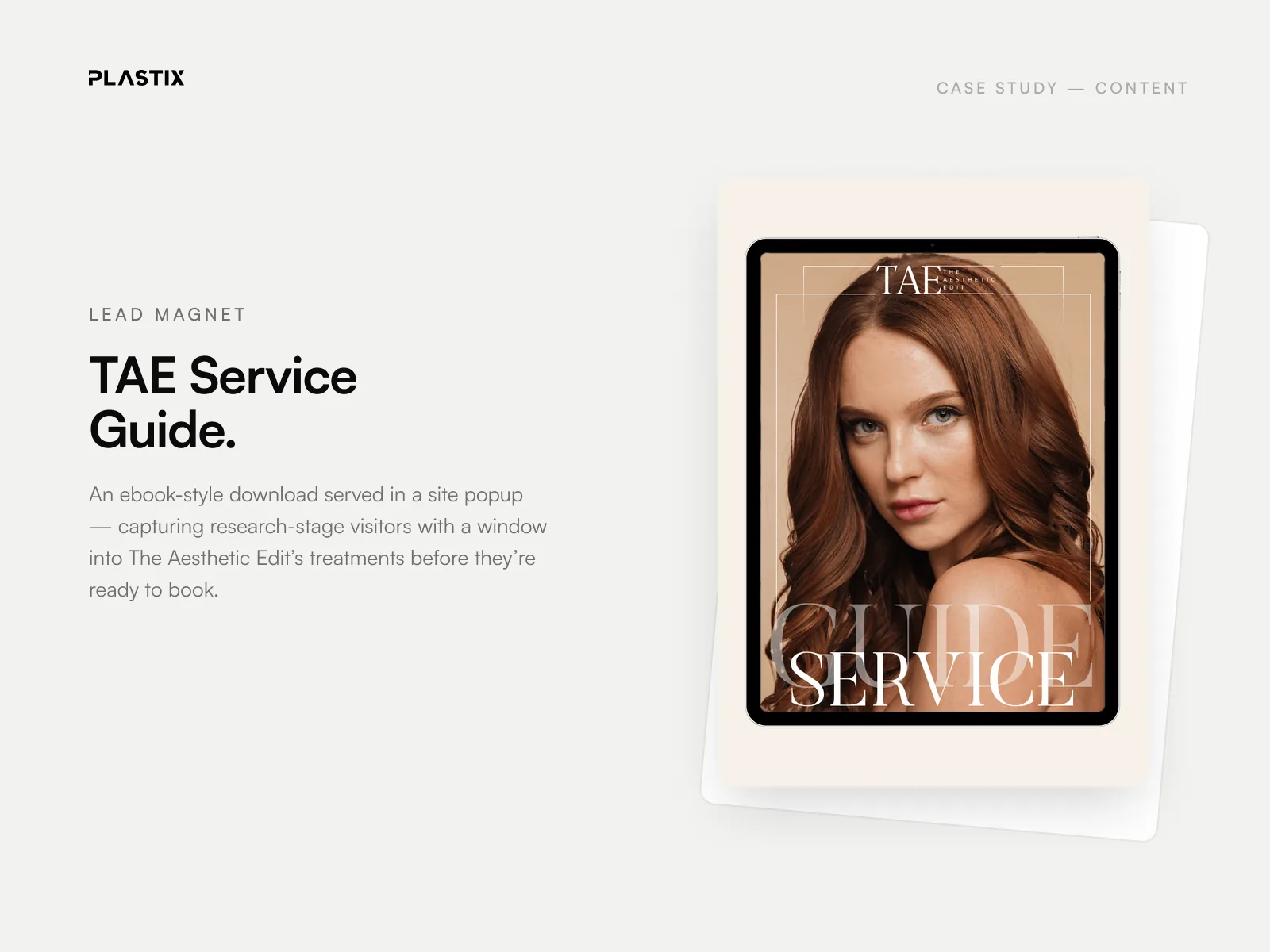 The Aesthetic Edit services and pricing guide lead magnet designed by Plastix